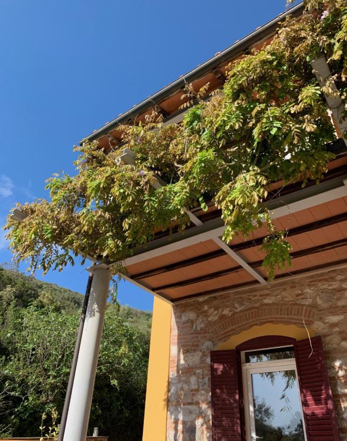 La Fucinaia Pet Friendly B&B Campiglia Marittima Exterior foto
