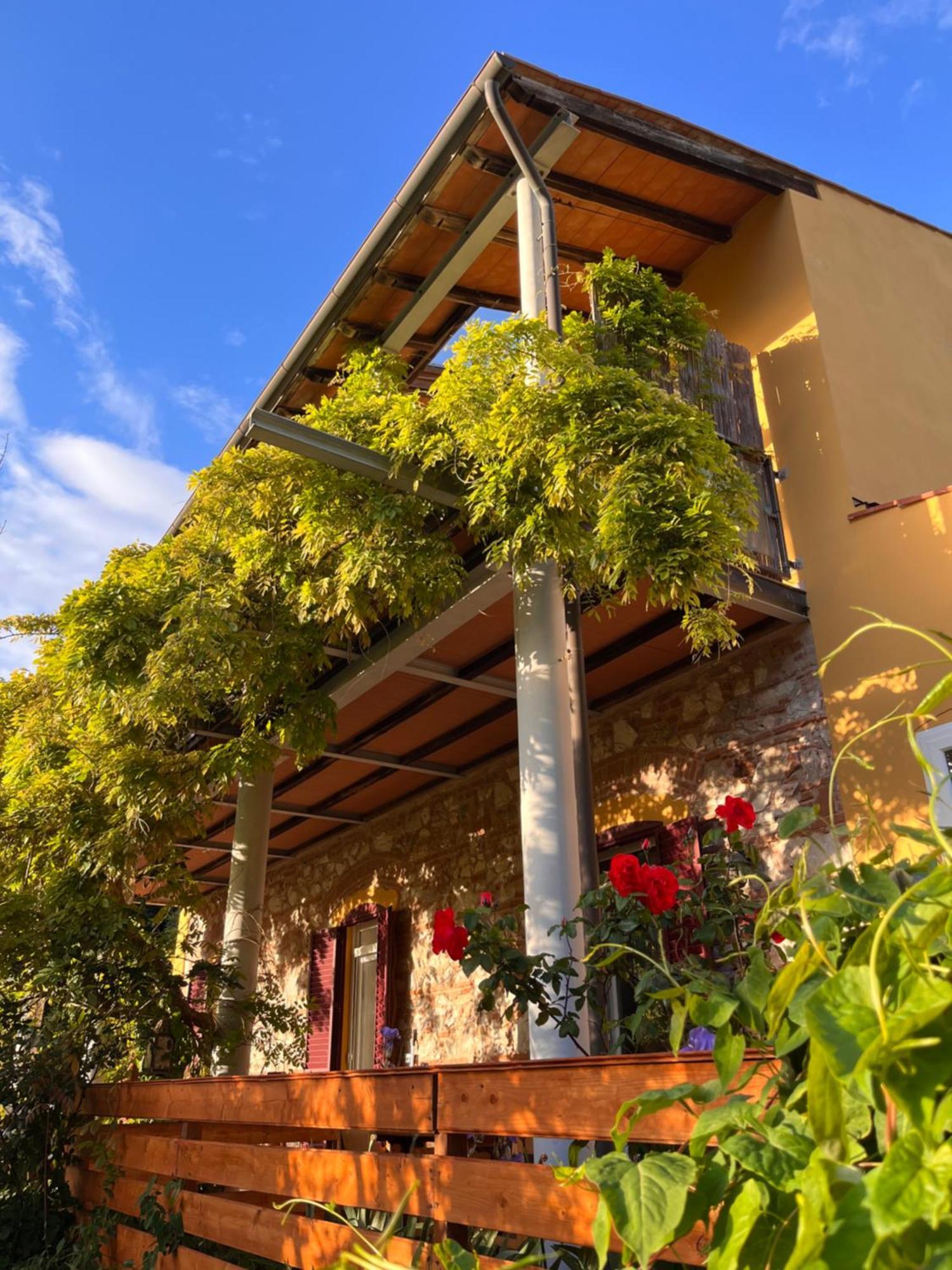 La Fucinaia Pet Friendly B&B Campiglia Marittima Exterior foto