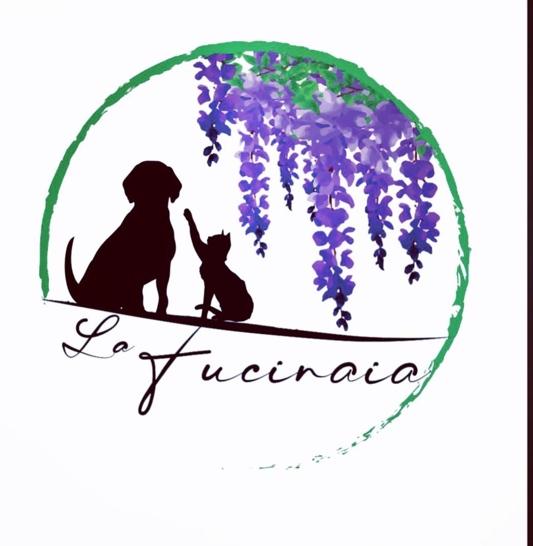 La Fucinaia Pet Friendly B&B Campiglia Marittima Exterior foto